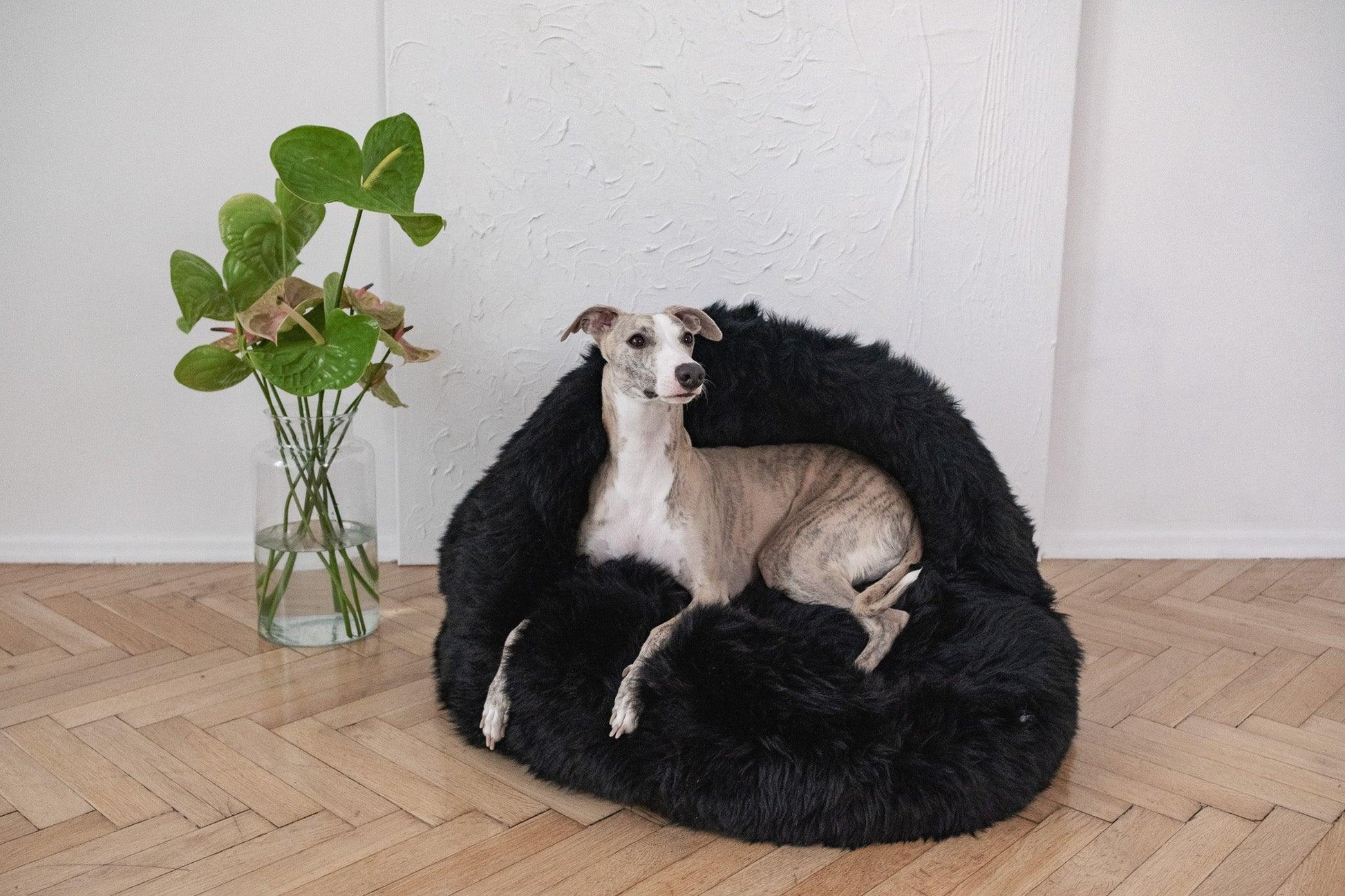 Natural Sheepskin Pet Cave - Black-0